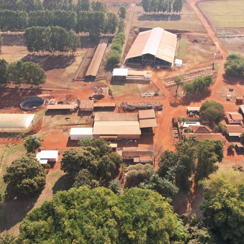 Fazenda Giulius3